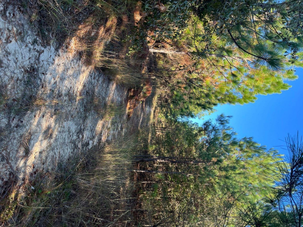 Ppf 12 Payne Pond Road Photo 4