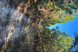 Ppf 12 Payne Pond Road photo 4