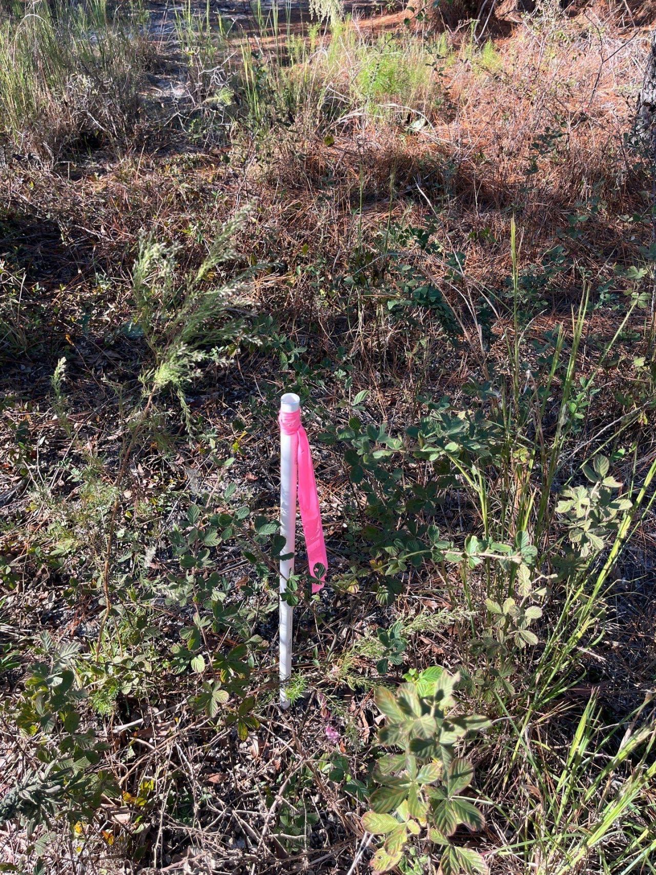 Ppf 12 Payne Pond Road Photo 41