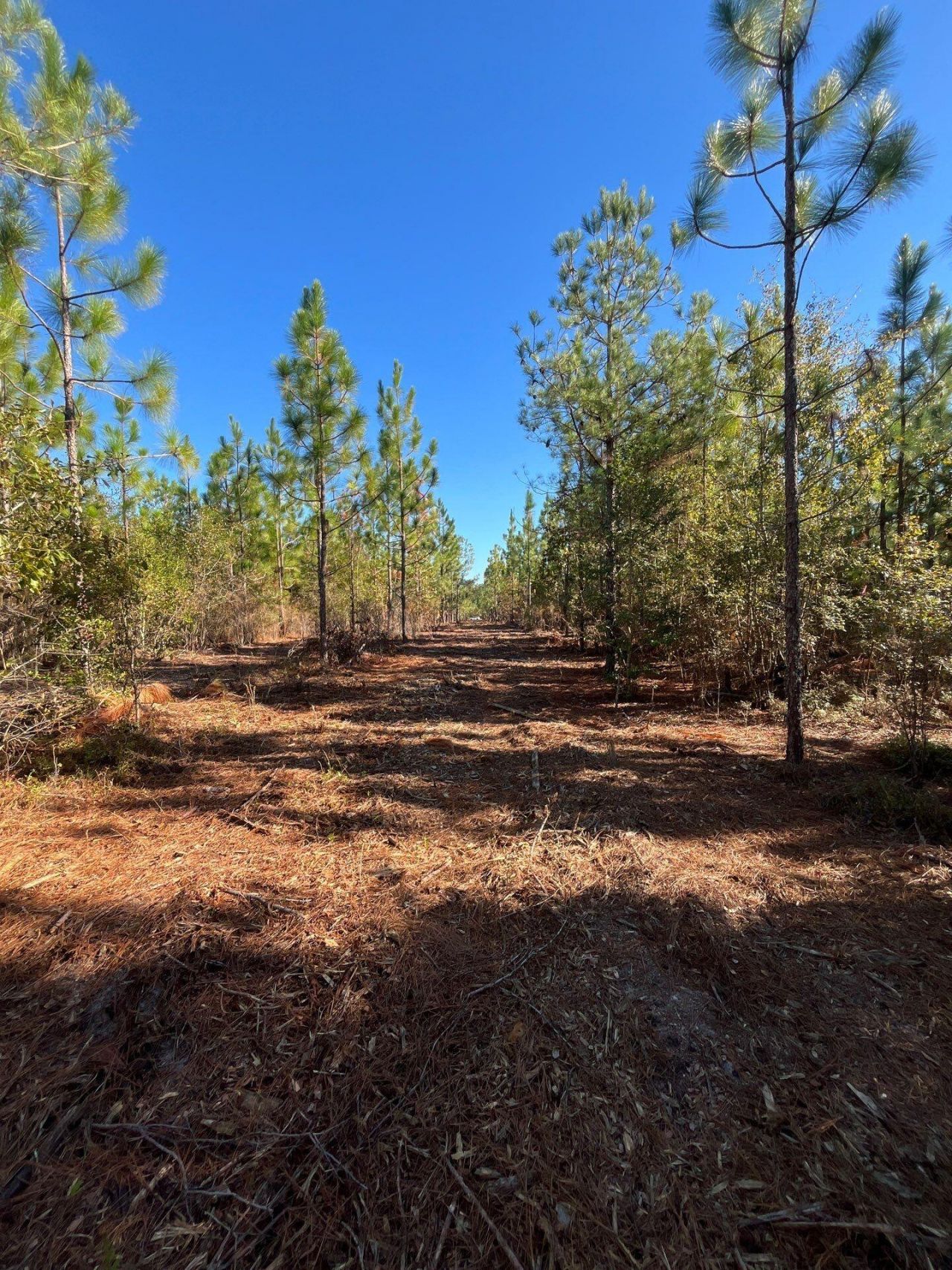 Ppf 12 Payne Pond Road Photo 46