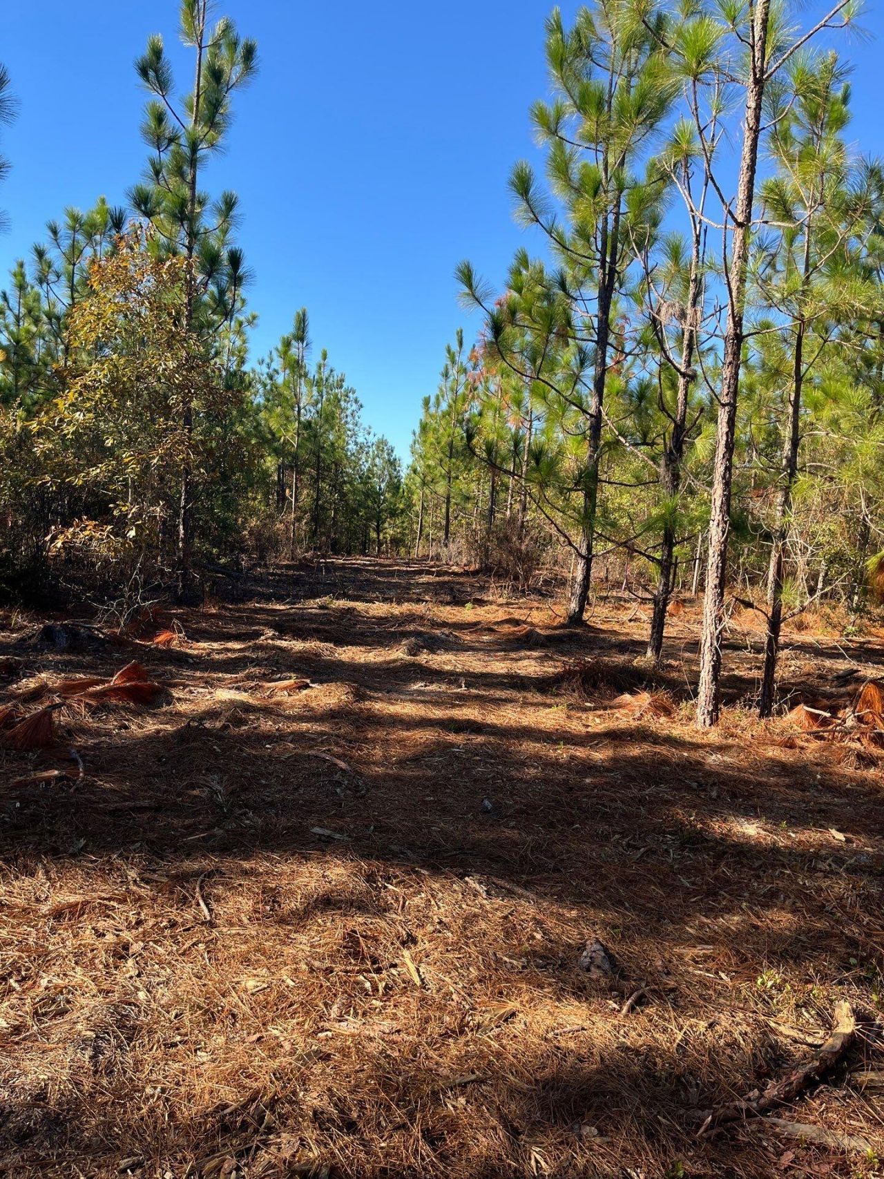 Ppf 12 Payne Pond Road Photo 48