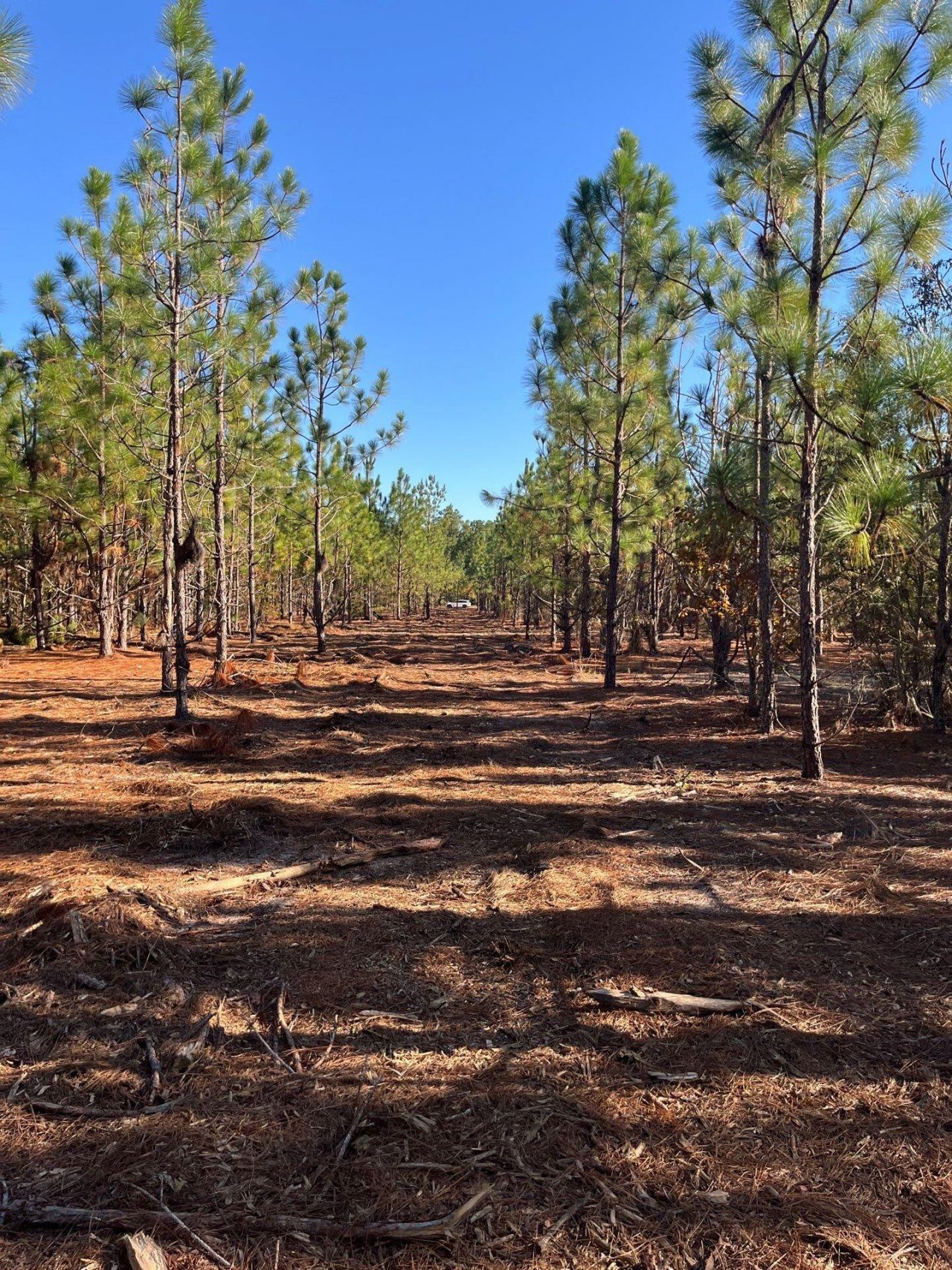 Ppf 12 Payne Pond Road Photo 49