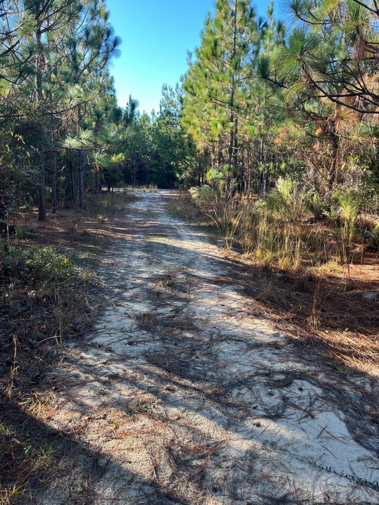 Ppf 12 Payne Pond Road Photo 5