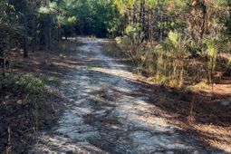 Ppf 12 Payne Pond Road photo 4