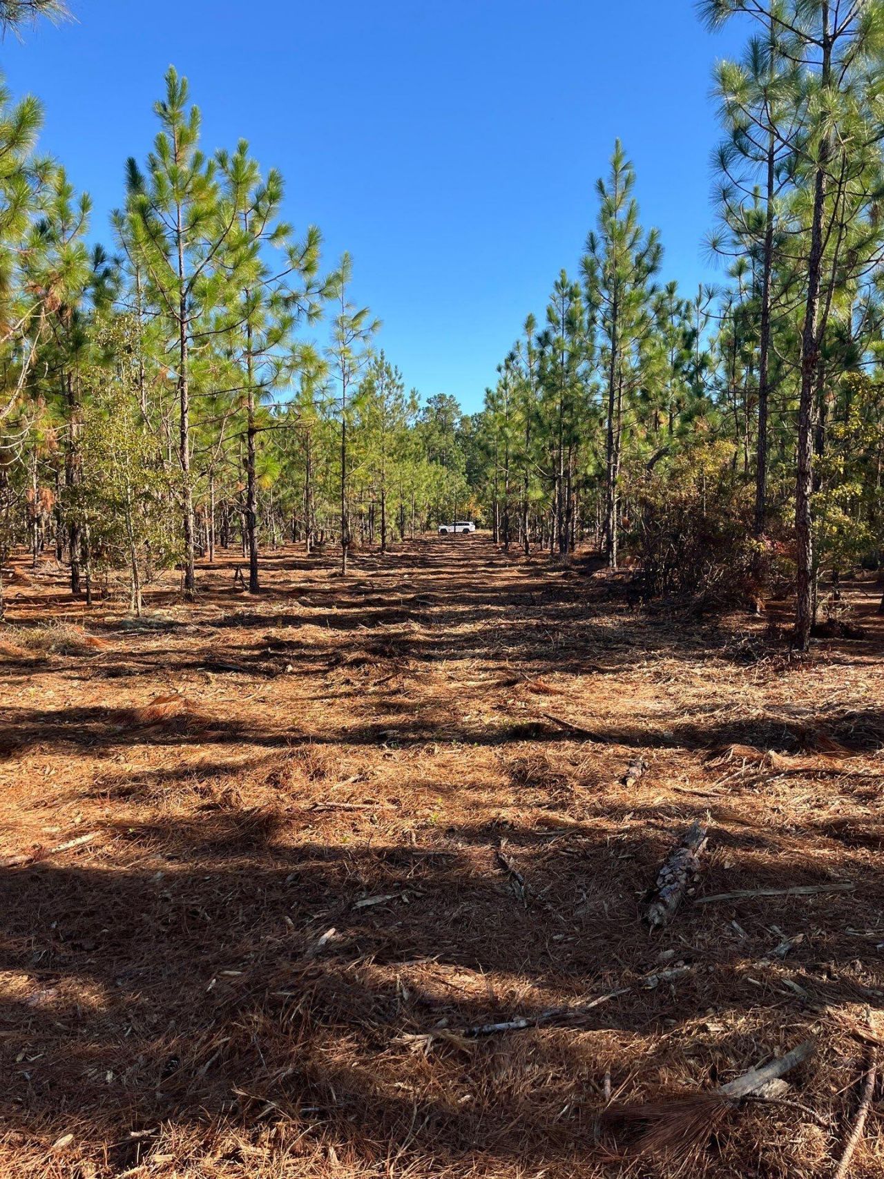 Ppf 12 Payne Pond Road Photo 50