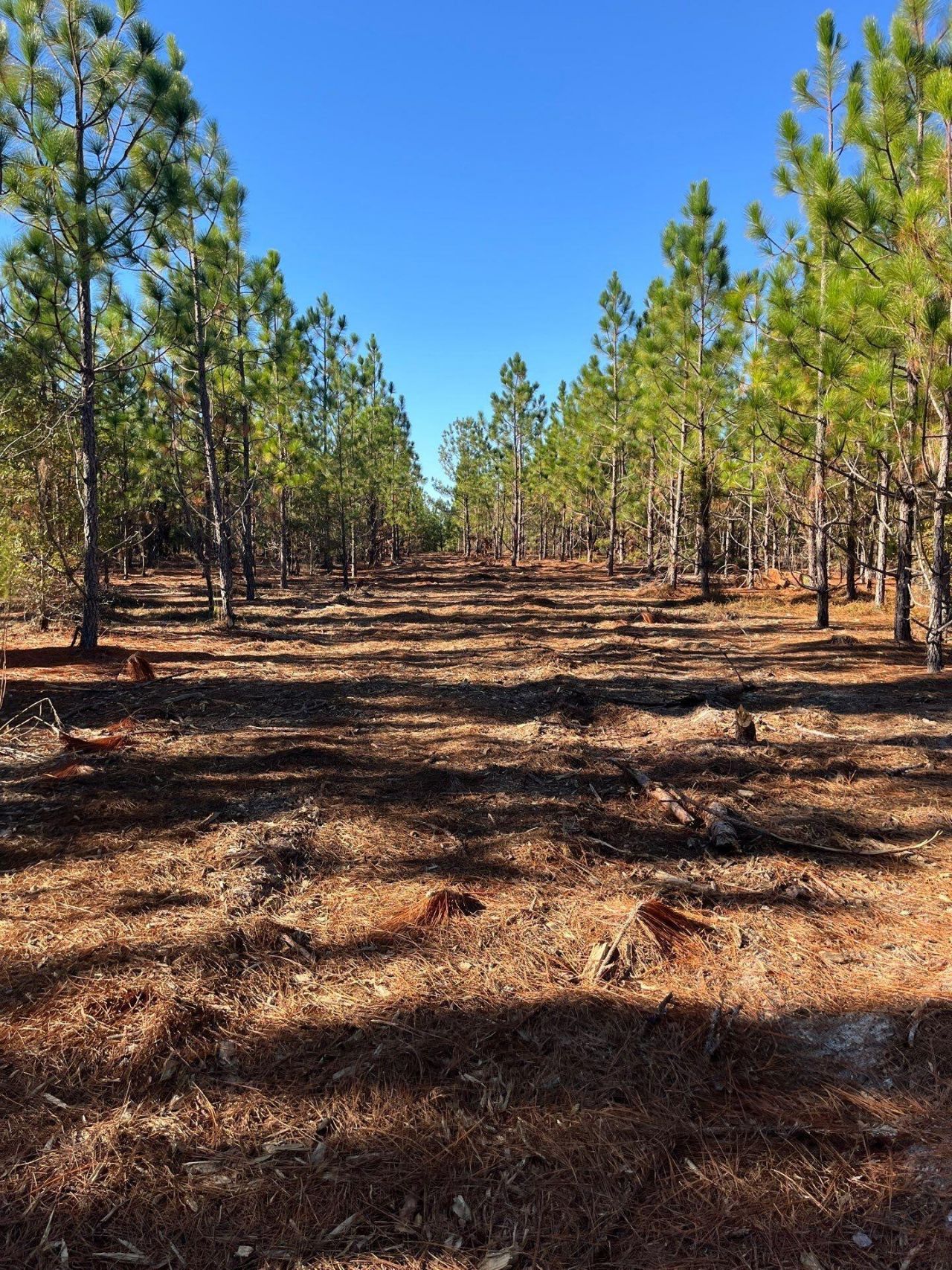 Ppf 12 Payne Pond Road Photo 51