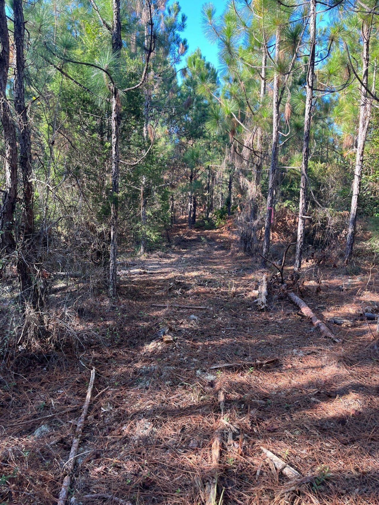 Ppf 12 Payne Pond Road Photo 6