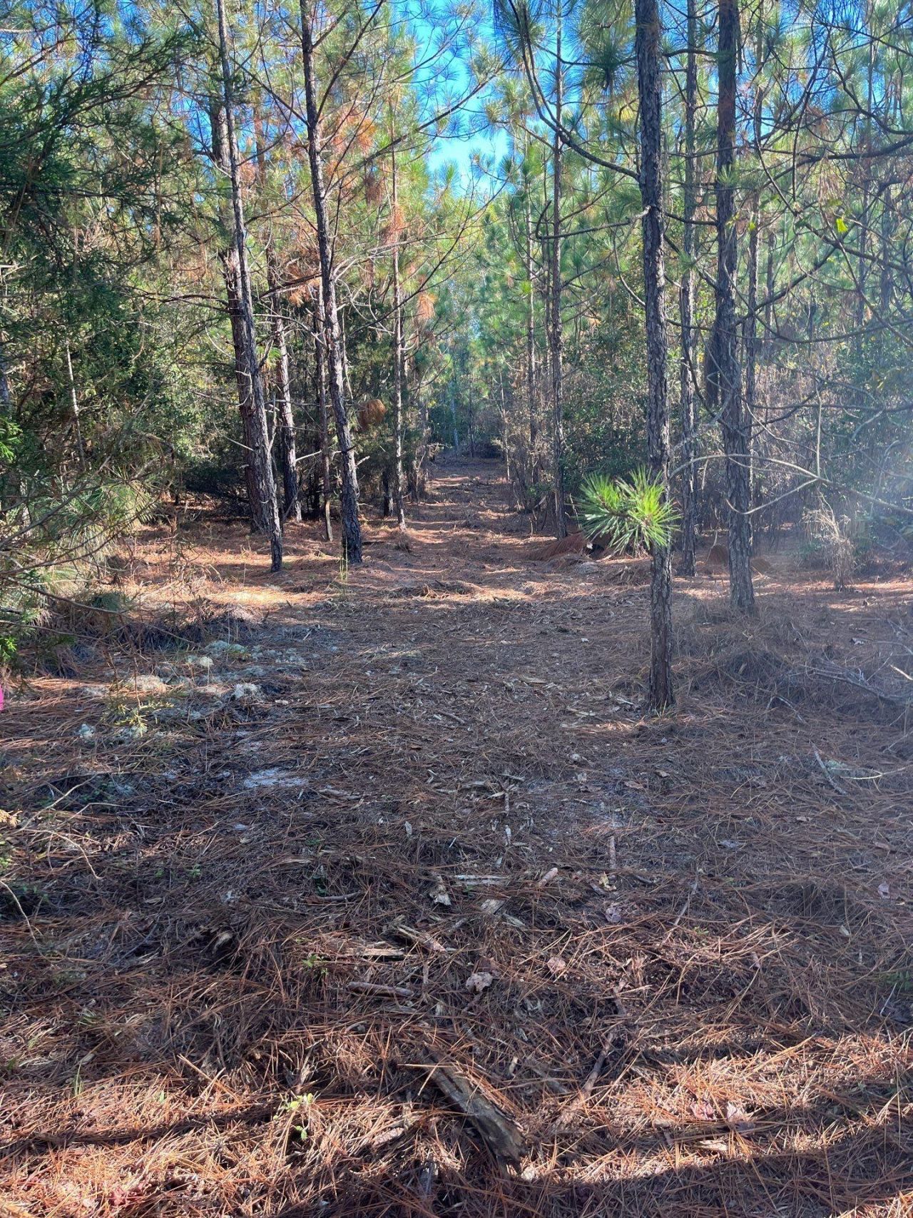 Ppf 12 Payne Pond Road Photo 7