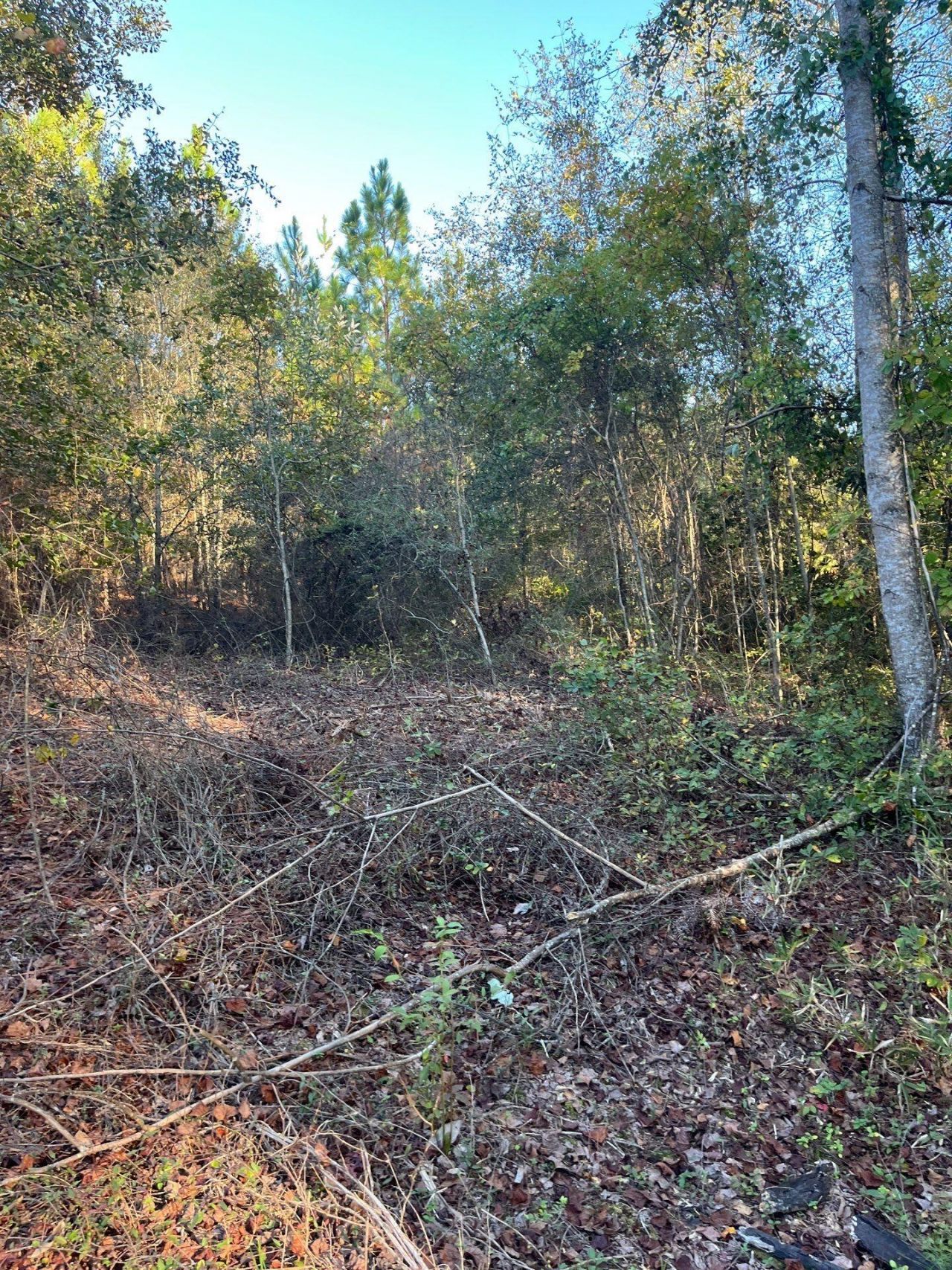 Ppf 12 Payne Pond Road Photo 8