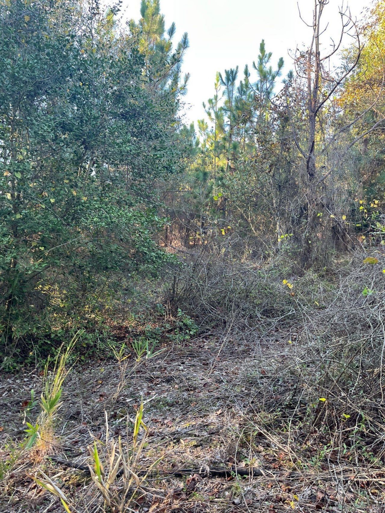 Ppf 12 Payne Pond Road Photo 9