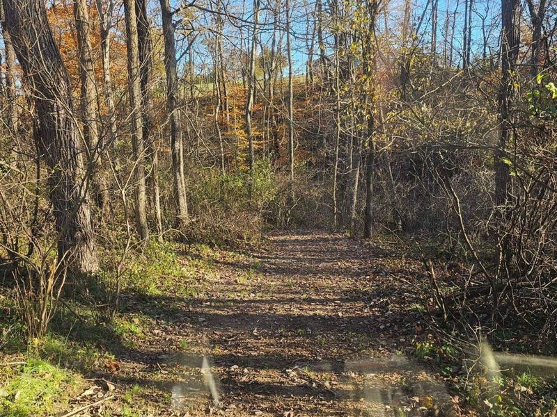 10150 County Rd 12 Road , Corning, OH 43730 Photo 26