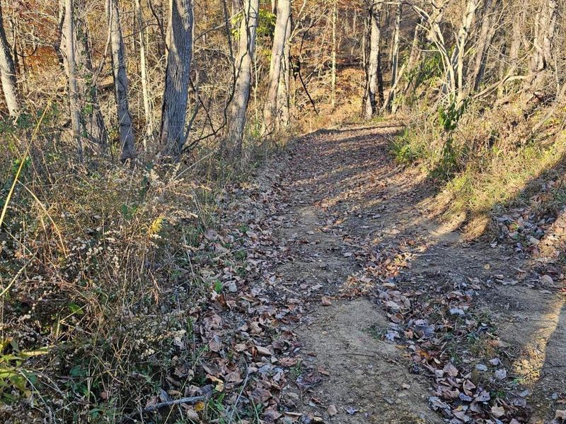 10150 County Rd 12 Road , Corning, OH 43730 Photo 27