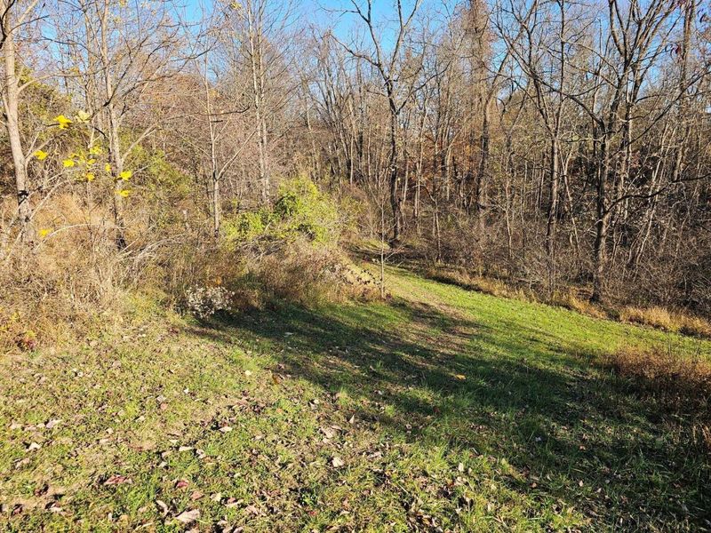 10150 County Rd 12 Road , Corning, OH 43730 Photo 30