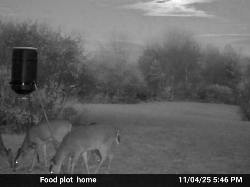 10150 County Rd 12 Road , Corning, OH 43730 Photo 31