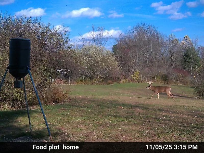 10150 County Rd 12 Road , Corning, OH 43730 Photo 34