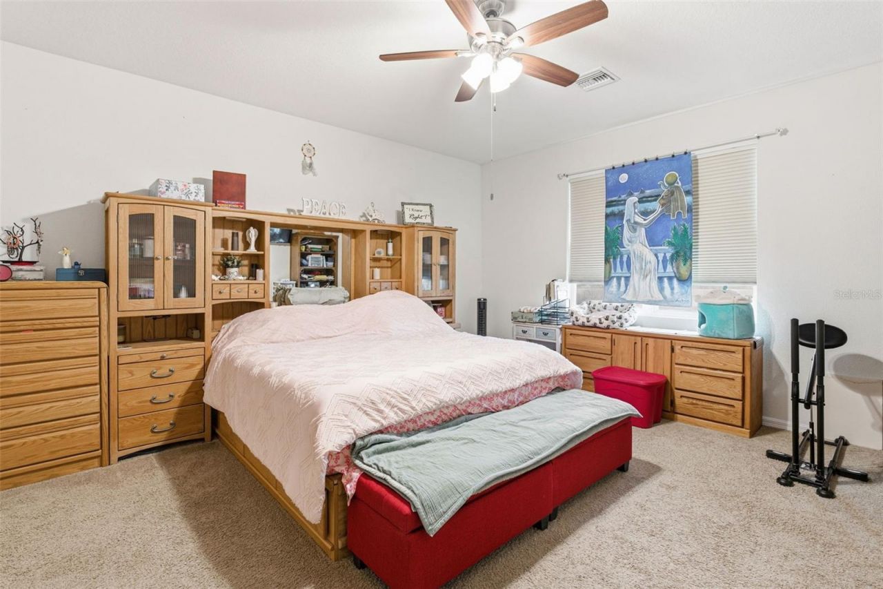 4123 Mossy Limb Court , Palmetto, FL 34221 Photo