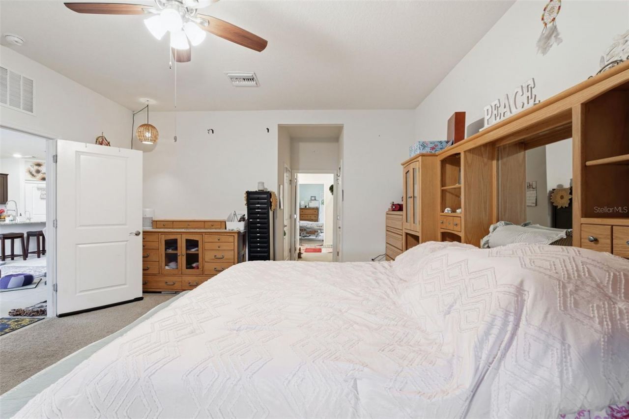 4123 Mossy Limb Court , Palmetto, FL 34221 Photo