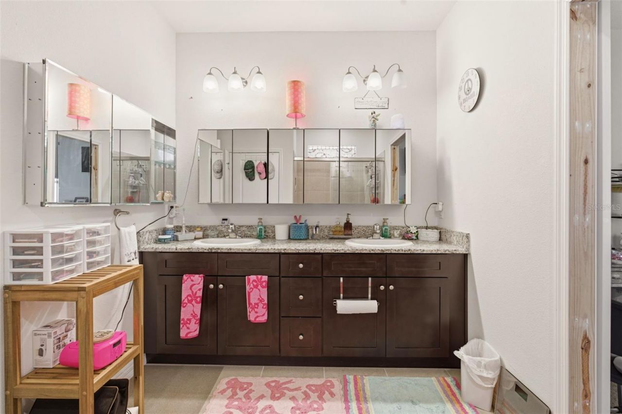 4123 Mossy Limb Court , Palmetto, FL 34221 Photo