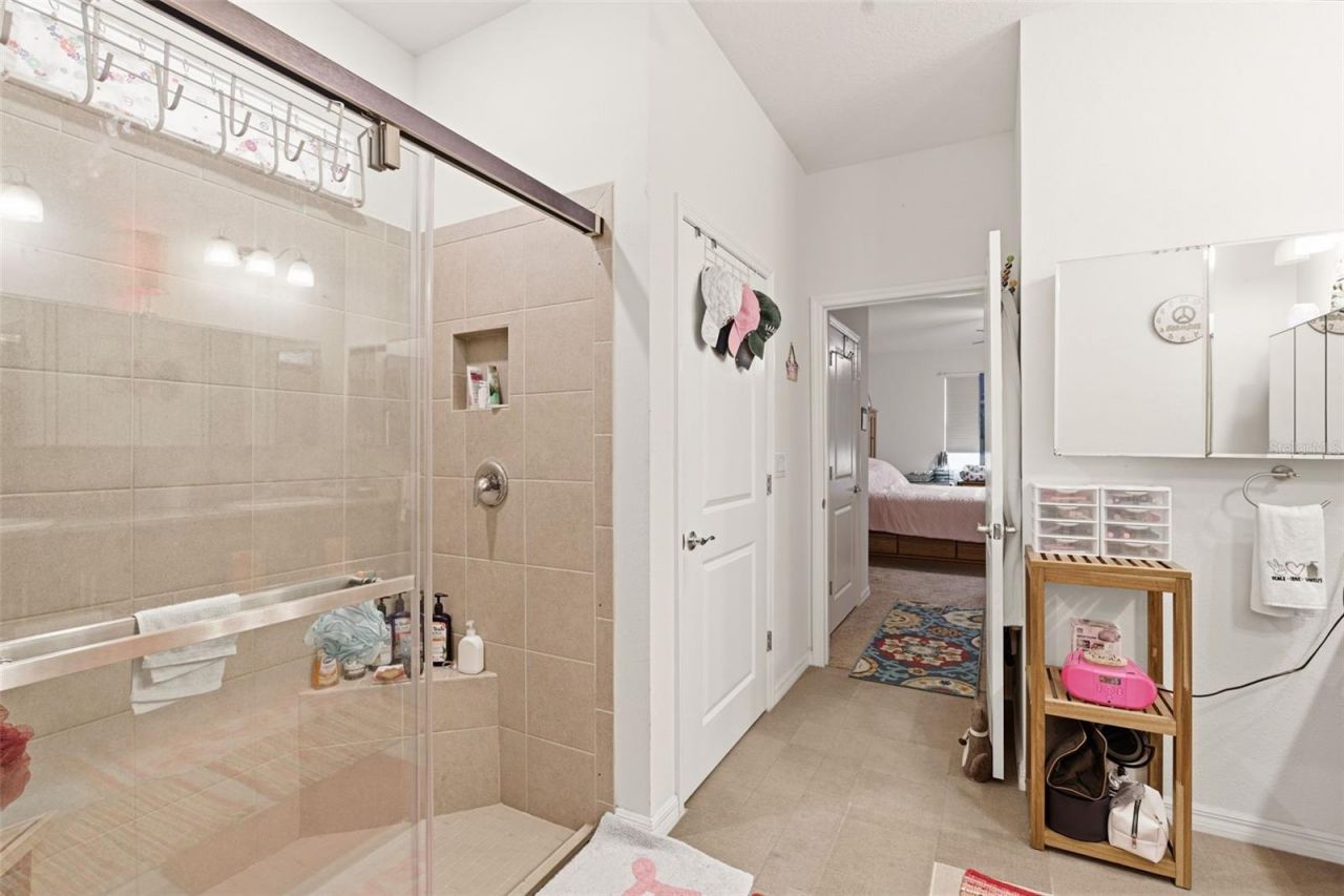 4123 Mossy Limb Court , Palmetto, FL 34221 Photo