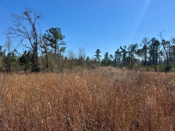 LOT 6 NW 63RD TERRACE, Jennings, FL 32053