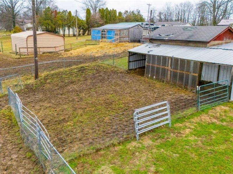 41152 Black Oak Road, Flushing, OH 43977 Photo 48