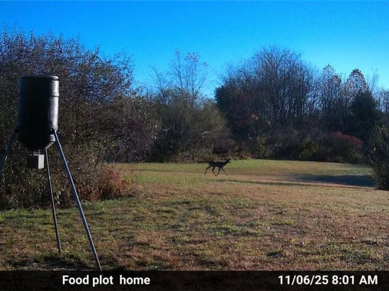 10150 County Rd 12, Corning, OH 43730 Photo 29