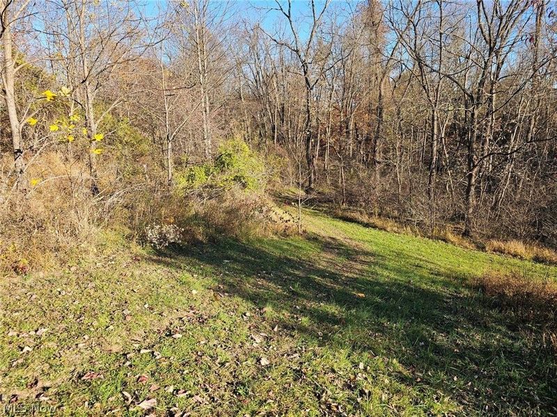 10150 County Rd 12, Corning, OH 43730 Photo 31