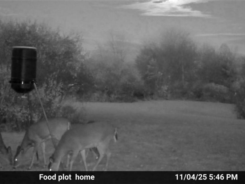 10150 County Rd 12, Corning, OH 43730 Photo 32