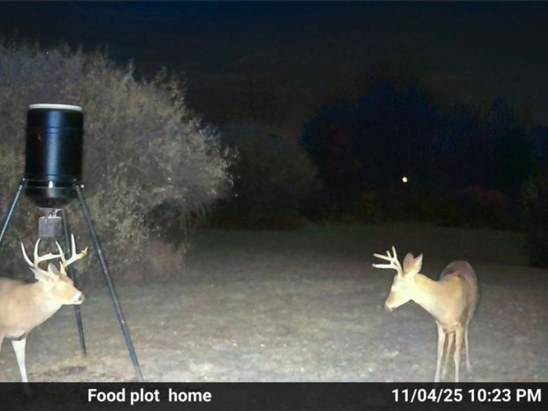 10150 County Rd 12, Corning, OH 43730 Photo 33