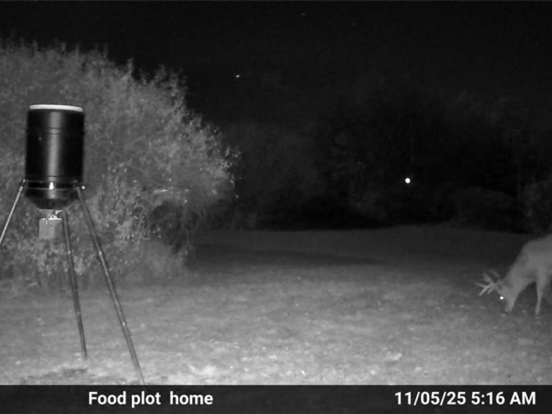 10150 County Rd 12, Corning, OH 43730 Photo 34