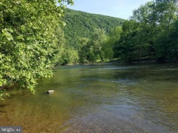 BEAR PAW , MAURERTOWN, VA 22644