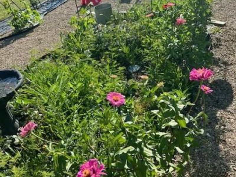 10648 Watson Road SE, Heath, OH 43056 Photo 54