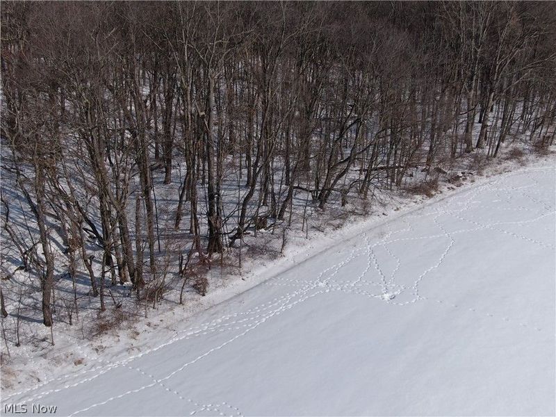 4185 Mechanicsburg Road, Wooster, OH 44691 Photo 27