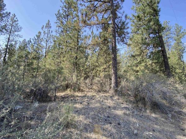 5xxx WA 291 Hwy, Nine Mile Falls, WA 99026