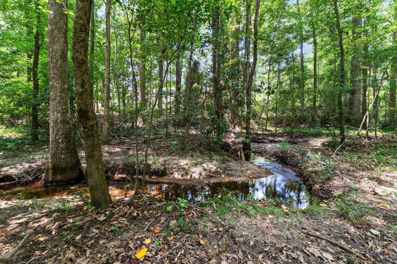 1599 Lee Boulevard Photo 39