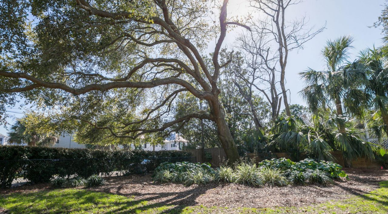 2262 Ion Avenue Photo 46