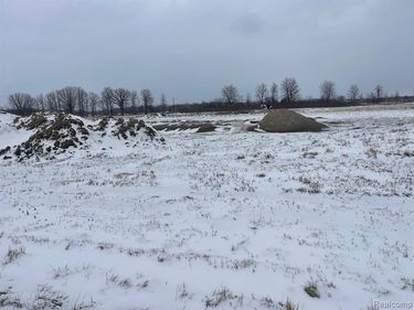 13199 Masters Rd Masters Road, Riley Twp, MI 48041