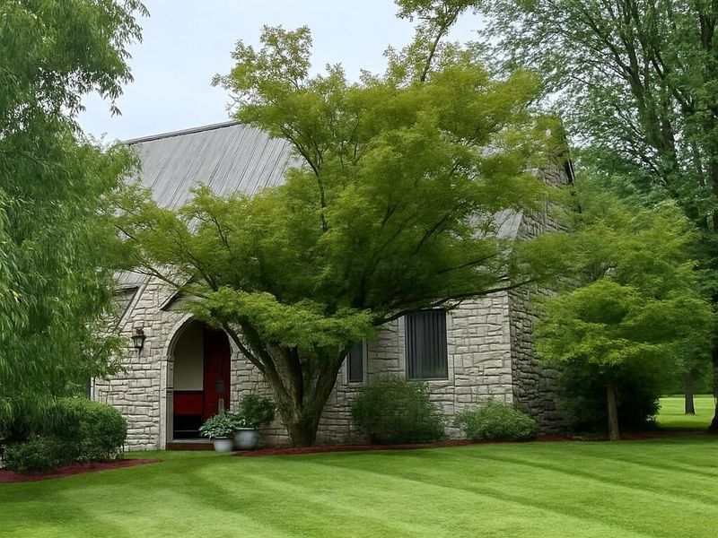 6730 Dillon Hills Drive, Nashport, OH 43830 Photo 3