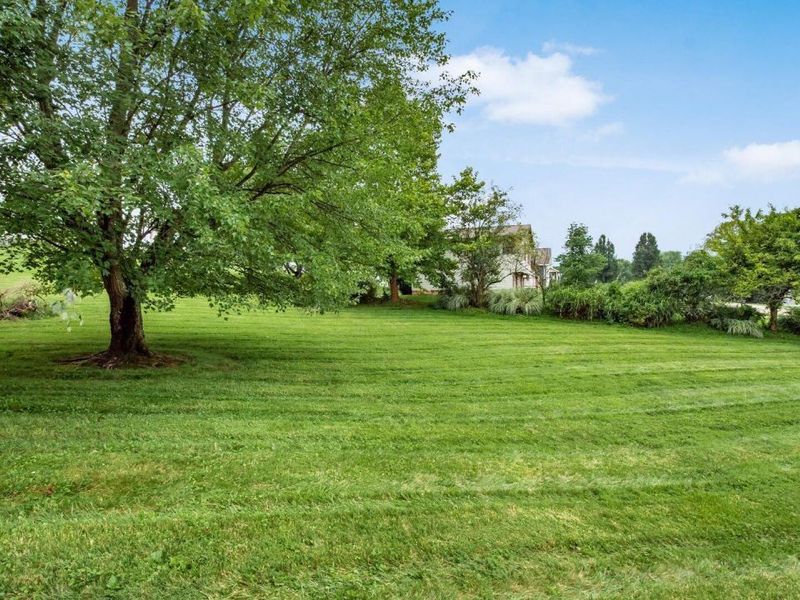 6730 Dillon Hills Drive, Nashport, OH 43830 Photo 49