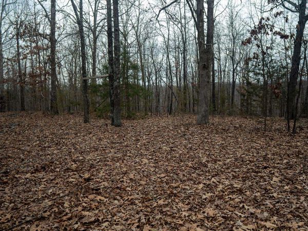000 Nubbin Ridge Road , Ravenden Springs, AR 72460