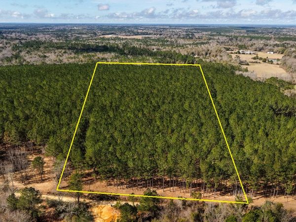 X Grimes Road , Laurel Hill, FL 32567