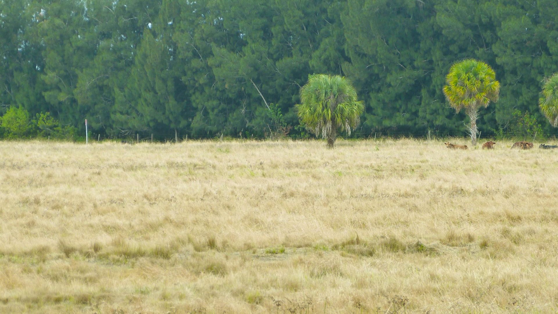 Tbd Kelly Road, Fort Pierce, FL 34945 Photo