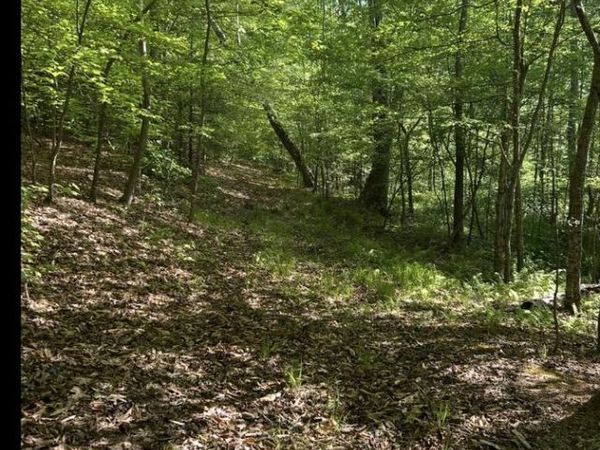 LOT 3 TM: 35-3-3 LONGFIELD RD., KING GEORGE, VA 22485
