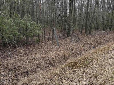 1644 Pincushion Road , Columbia, SC 29209