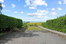 251 Bennett Street photo 4