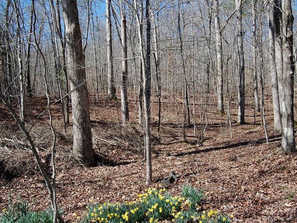 5 Pickett Cross Road, Whitwell, TN 37397