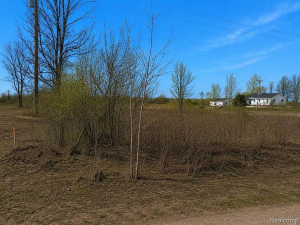 2969 Reeves Road, Riley Twp, MI 48041