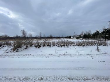 2969 Reeves Road , Riley Twp, MI 48041