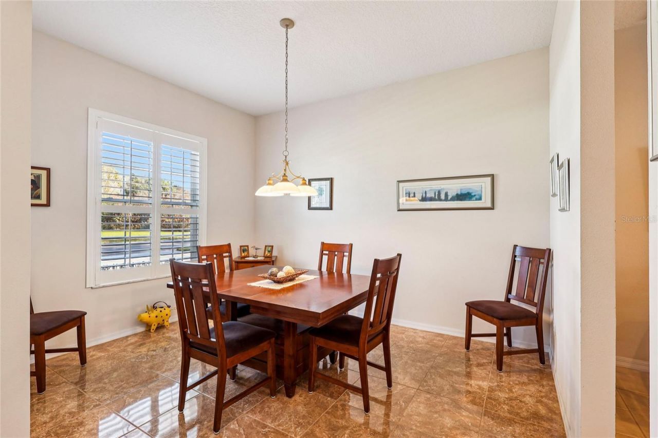 660 Chester Pines Court, Ocoee, FL 34761 Photo