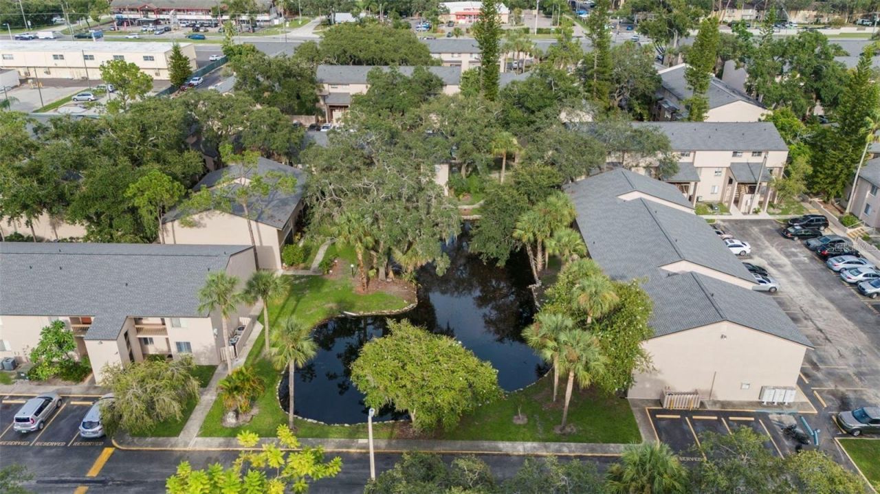 7604 Abbey Lane, Unit 214, Tampa, FL 33617 Photo